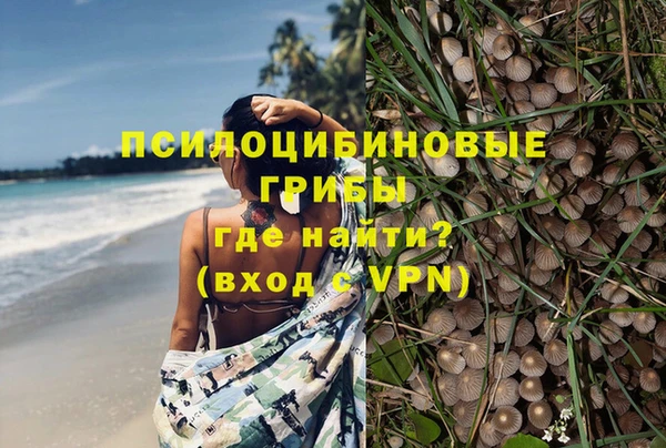 дмт Балабаново