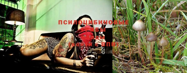 каннабис Баксан