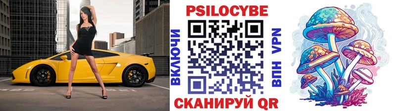 Галлюциногенные грибы Psilocybine cubensis Николаевск